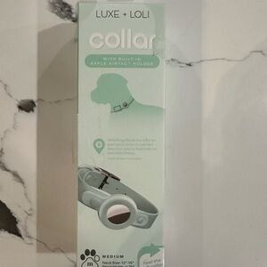 Luxe + Loli Air Tag Holder Mint Medium
